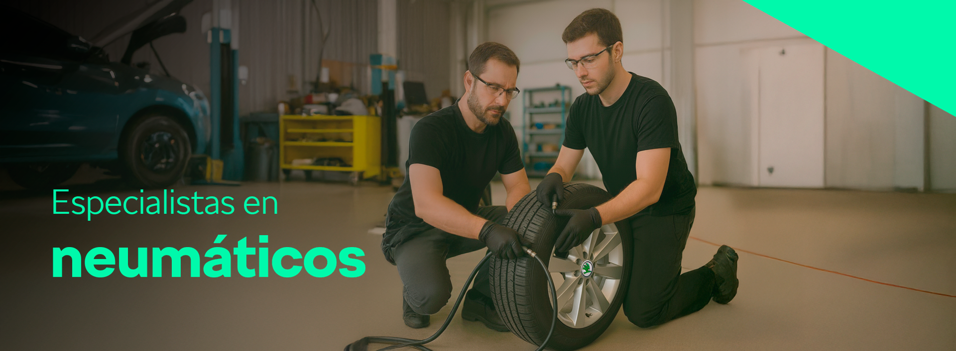 especialistas en neumáticos